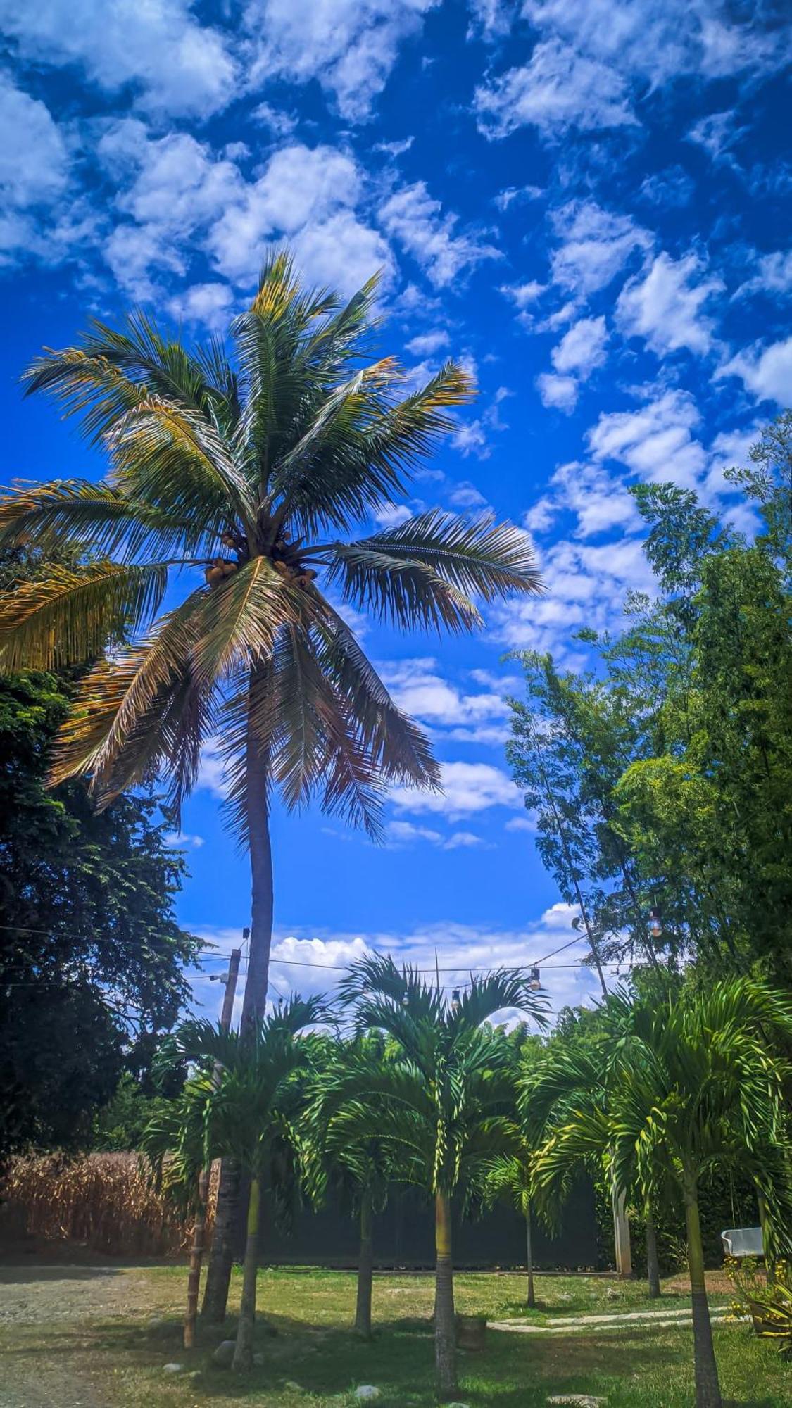 Hotel Campestre Campos Verdes Roldanillo Buitenkant foto